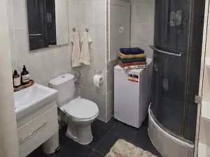 Pronájem bytu 2+1, Brno, Palackého třída, 48 m2