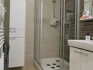 Pronájem bytu 2+kk, Brno, Říčanská, 50 m2