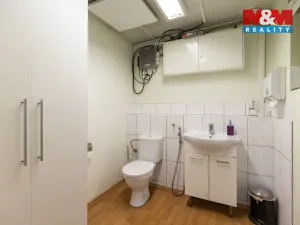 Pronájem výrobních prostor, Dnešice, 694 m2