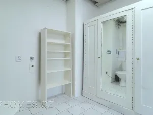 Pronájem bytu 1+kk, Praha - Nové Město, Na Moráni, 35 m2