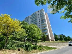 Prodej bytu 1+kk, Brno, Oblá, 31 m2