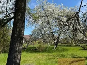 Prodej pozemku pro bydlení, Svojetice, 1034 m2