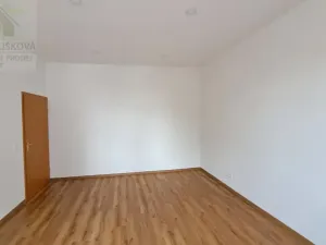 Pronájem bytu 3+kk, Ostrava, Hollarova, 85 m2