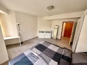 Prodej bytu 2+kk, Praha - Žižkov, Dalimilova, 52 m2
