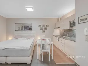 Prodej bytu 1+kk, Harrachov, 32 m2