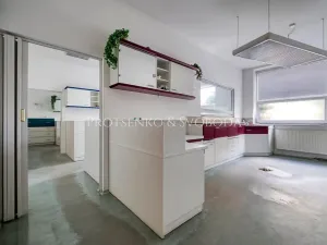 Prodej vily, Bechyně, Čechova, 660 m2