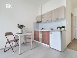 Prodej bytu 1+kk, Janovice nad Úhlavou, Rozvojová zóna, 22 m2