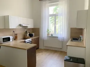 Pronájem bytu 2+1, Praha - Nové Město, Rumunská, 64 m2