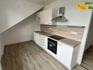 Pronájem bytu 1+1, Brušperk, Dráhy, 41 m2