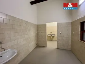 Pronájem výrobních prostor, Město Albrechtice, L. Janáčka, 410 m2