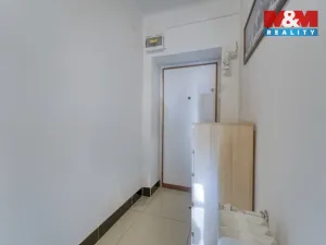 Prodej bytu 1+1, Plzeň - Jižní Předměstí, Thámova, 27 m2