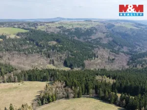 Prodej lesa, Měděnec - Mýtinka, 18821 m2