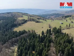 Prodej lesa, Měděnec - Mýtinka, 18821 m2