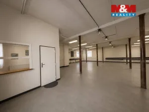 Pronájem výrobních prostor, Praskačka, 95 m2