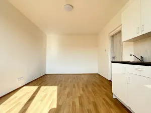 Prodej bytu 1+kk, Mšené-lázně, Mládežnická, 38 m2