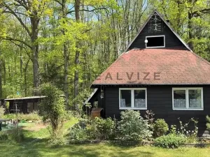 Prodej chaty, Hluboká nad Vltavou, Křivonoska, 70 m2