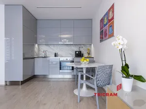 Pronájem bytu 1+kk, Hradec Králové - Nový Hradec Králové, Antonína Petrofa, 45 m2