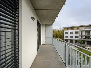 Pronájem bytu 1+kk, Hradec Králové - Nový Hradec Králové, Antonína Petrofa, 45 m2