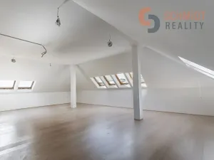 Pronájem obchodního prostoru, Břeclav, Celnice-středisko služeb, 509 m2