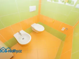 Prodej rodinného domu, Újezd u Chocně, 170 m2