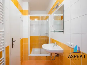 Pronájem bytu 1+1, Praha - Podolí, U podolského hřbitova, 30 m2