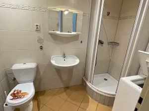 Pronájem bytu 1+1, Plzeň, Karlovarská, 33 m2