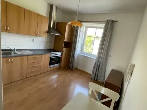 Pronájem bytu 1+1, Plzeň, Karlovarská, 33 m2