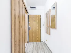 Pronájem bytu 2+kk, České Budějovice, Puklicova, 39 m2