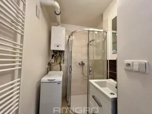 Prodej bytu 1+1, Brno, Merhautova, 48 m2
