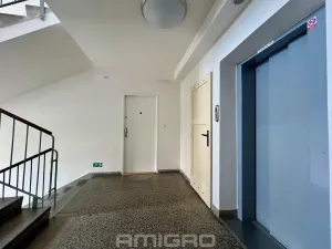 Prodej bytu 1+1, Brno, Merhautova, 48 m2