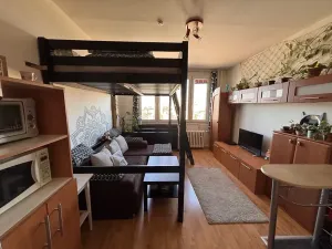 Prodej bytu 1+kk, Praha - Záběhlice, Jabloňová, 24 m2