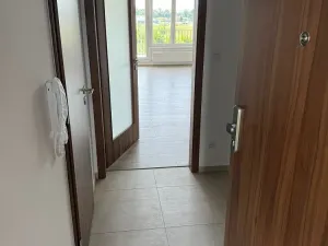 Pronájem bytu 1+kk, Pardubice - Zelené Předměstí, Pod Vinicí, 38 m2