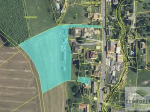 Prodej pole, Doubravice, 36202 m2