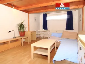 Pronájem bytu 1+kk, Praha - Krč, Štúrova, 28 m2