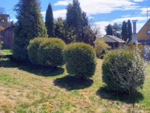 Prodej zahrady, Budišov nad Budišovkou, 772 m2