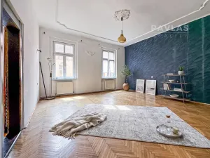 Prodej bytu 2+1, České Budějovice, Riegrova, 89 m2