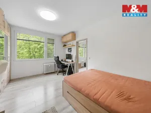 Prodej bytu 1+1, Ústí nad Labem - Severní Terasa, Maková, 33 m2