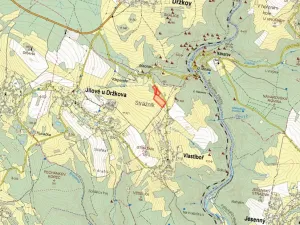 Prodej louky, Jílové u Držkova, 5847 m2