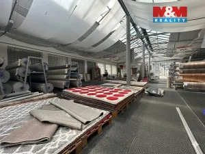 Pronájem obchodního prostoru, Klatovy, Nádražní, 600 m2
