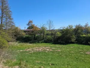 Prodej zahrady, Letovice, 2136 m2