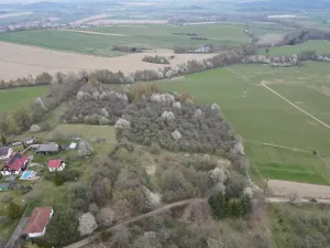 Prodej pozemku pro bydlení, Díly, 2772 m2