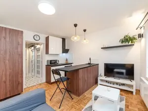 Pronájem bytu 1+kk, Jihlava, Čajkovského, 24 m2