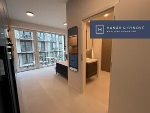 Pronájem bytu 1+kk, Brno, Koliště, 22 m2