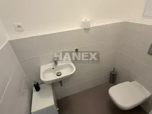 Pronájem bytu 2+kk, Praha - Žižkov, V zahrádkách, 56 m2
