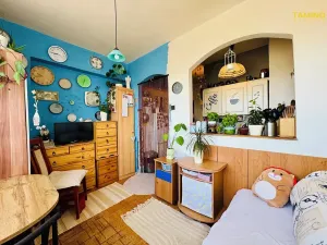 Prodej bytu 2+kk, Třebíč, Řípovská, 35 m2