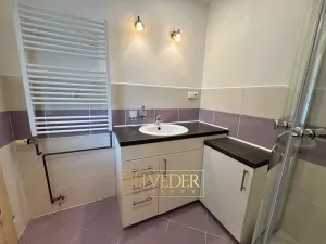 Pronájem bytu 3+kk, Ústí nad Labem, Klíšská, 60 m2
