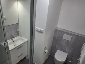 Pronájem bytu 1+kk, Most, Javorová, 35 m2