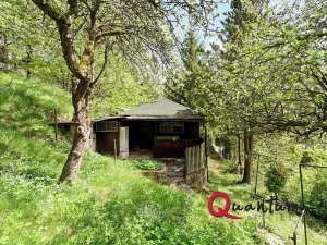Prodej chaty, Černé Voděrady, 43 m2
