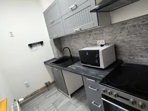 Pronájem bytu 2+1, Chabařovice, 50 m2