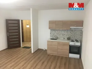 Pronájem bytu 1+kk, Ústí nad Labem - Všebořice, Spartakiádní, 31 m2